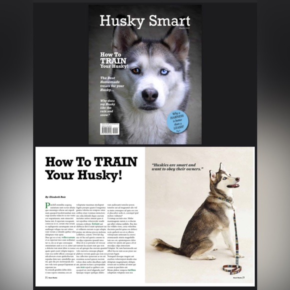 Meet your Posher, Elizabeth Ruiz - Picture 7 of 7